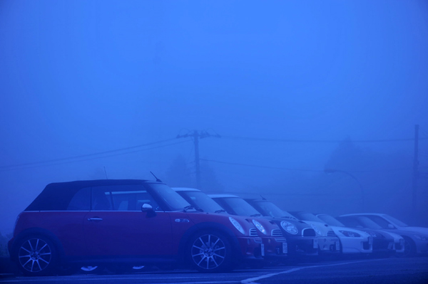 426 550 15  DSC_1439.jpg